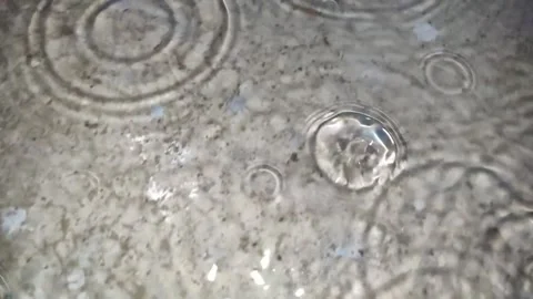 Rain water dropping on floor . Water splashing looks detail. Stock-Footage 309662083