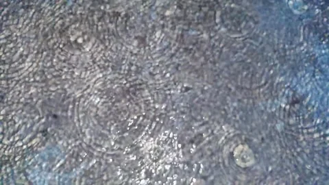 Rain water dropping on floor . Water splashing looks detail. Stock Footage 309662144