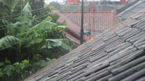 Rain water dropping Stock Footage 236921224