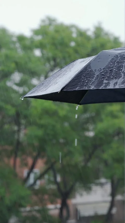 Rain water drops falling and splashing on black umbrella while raining 库存影片 337033808