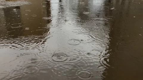 Rain water drops falling into big puddle on asphalt, flooding the street. Stock Footage 152800823