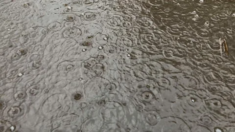 Rain water drops falling into big puddle on asphalt, flooding the street. Road Stock Footage 154171428