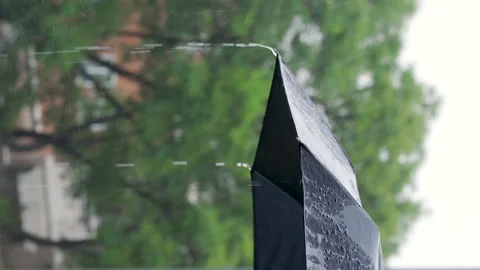 Rain water drops falling Vidéo 290463483