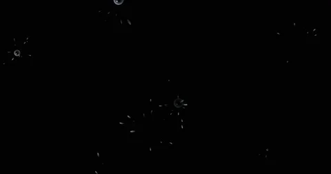 Rain, water drops fly falling on a black background, blending mode for motion Stock Footage 209663603