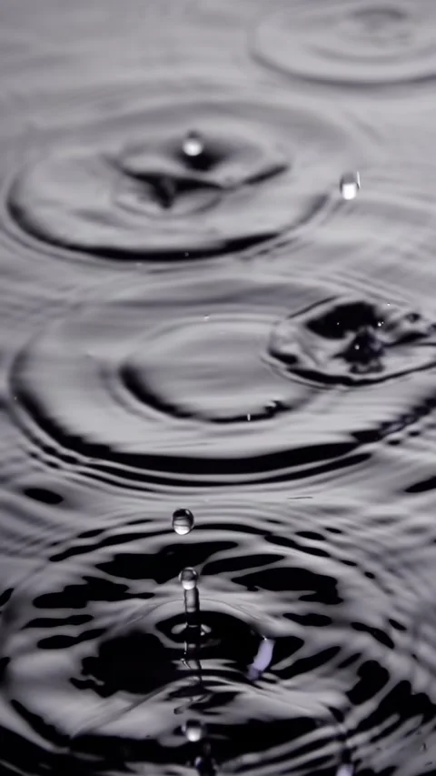 Rain Water Drops Slow Motion 動画素材 319496165
