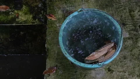 Rain Water Fall Into Blue Plastic Bucket Forming Splashes Waves Outside House Stock-Footage 165890893