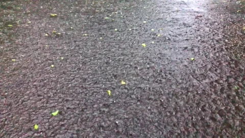 Rain water falling on asphalt surface Stock Footage 297454675