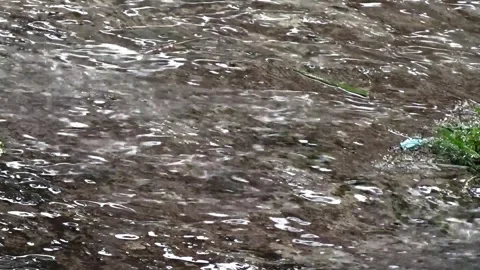 Rain water falling Stock Footage 304082178