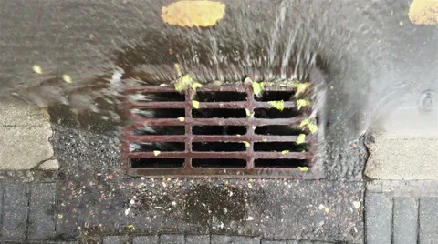 Rain water falling into sewerage Stock Footage 57021920