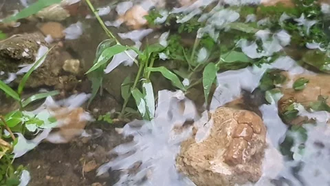 Rain water falls on the ground Stock Footage 304963388