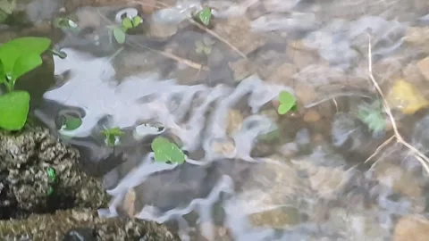 Rain water falls on the ground Video stock 304963485