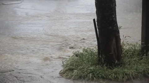 Rain water flow on the street Stock Footage 72773062