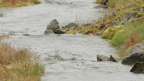 Rain Water Flowing Stock Footage 166967047