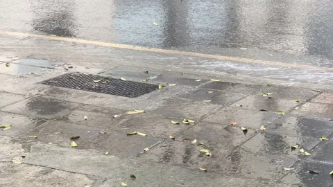 Rain water flows between road and sidewalk Video stock 100332854