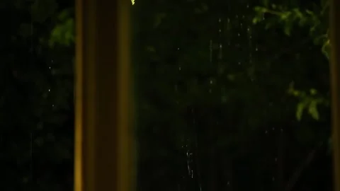 Rain water flows over the green leaves in the garden. Stock Footage 341403058