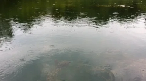 Rain on water Video stock 52695969