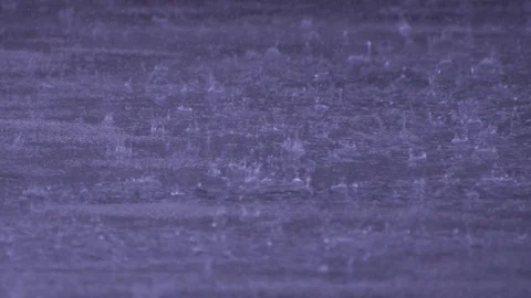 Rain on water Vidéo 92217620
