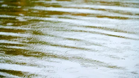 Rain on water Video stock 124565316
