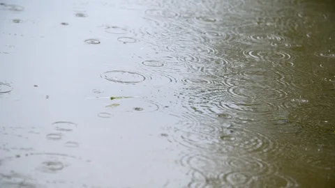 Rain on water Stock Footage 124565645