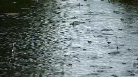 Rain on the water Stock Footage 143992863