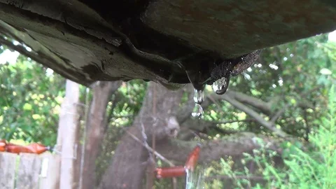 Rain water in the form of drops drains from the roof in the daytime Stock Footage 118064059