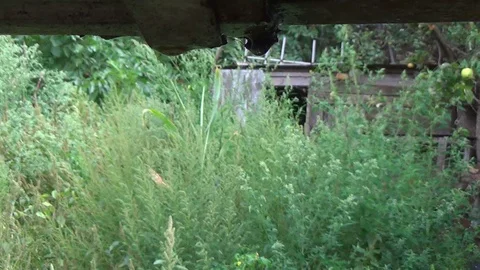 Rain water in the form of drops drains from the roof in the daytime Stock-Footage 119283899