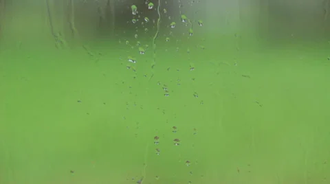Rain water on glass 動画素材 36032091