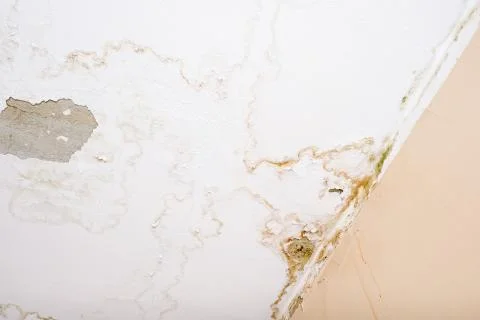 Rain water leaks on the ceiling because of damaged roof causing decay, peeling Stock Photos