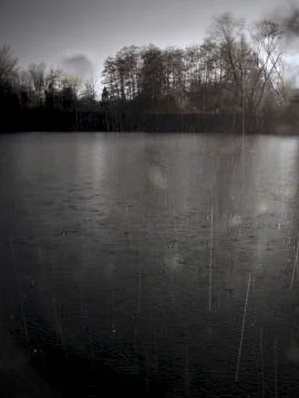 Rain in the water Stock Photos