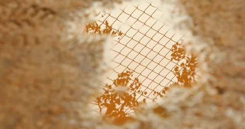 Rain water puddle on Road Stock Footage 283525592