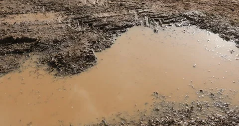 Rain water puddle on Road Stock Footage 292988694
