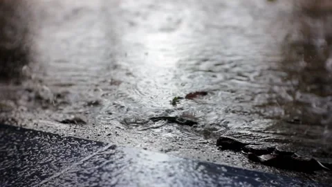 Rain water relaxation Stock Footage 208657233