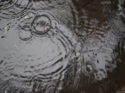 Rain water ripple on a puddle, still shot. Stock-Footage 85695022