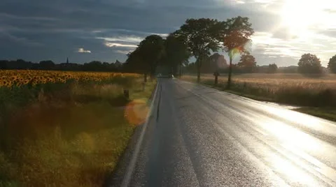 Rain water road Vídeo Stock 11496663