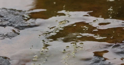 Rain water running in a Canal Stock Footage 335669904