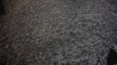 Rain water splash Stock Footage 208657331