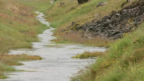 Rain Water Stream Stock Footage 166967108