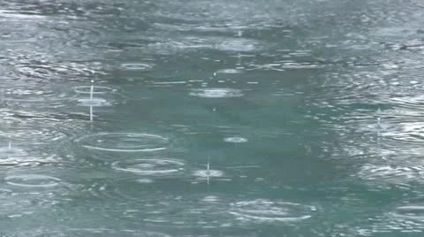 Rain on water surface Stock Footage 10819547