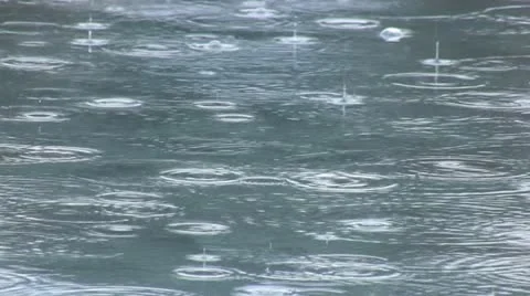 Rain on water surface Stock Footage 10823179