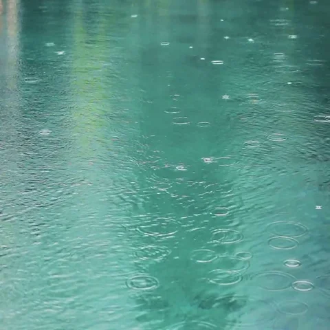 Rain on water surface Video stock 69706566