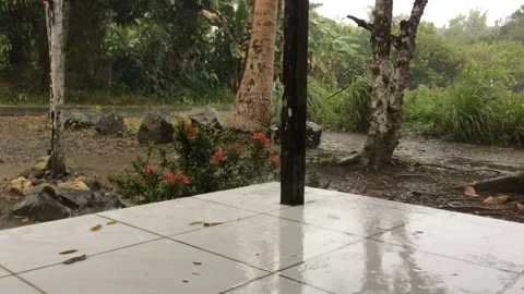 Rain water in the yard Stock Footage 205379729