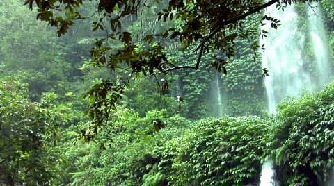 Rain waterfall jungle Vidéo 107683