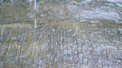 The rain that wet the floor Stock Footage 236672016