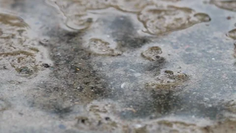 Rain on wet sand Stock Footage 8521333