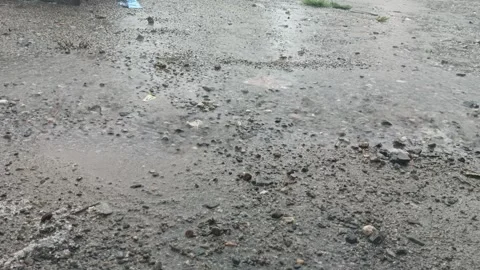 The Rain Wets the Ground Stock Footage 258938395