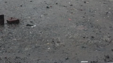 The Rain Wets the Ground Video stock 258938441