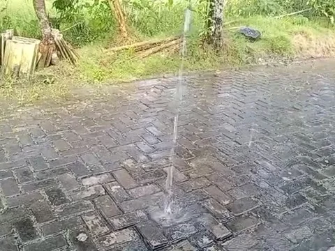 Rain Wets Trees and Roads Rainy Stockbeeldmateriaal 217998395