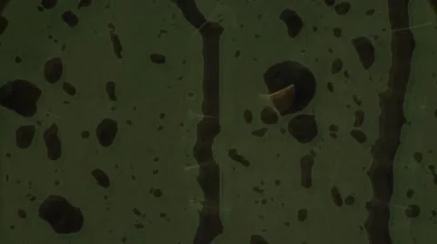 Rain on widow   4k Stock Footage 47898090