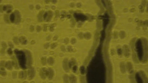 Rain on widow   4k Stock Footage 47898139