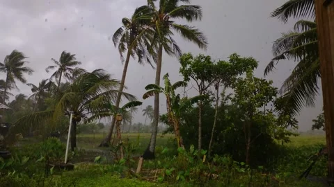 Rain with wind in 2023 new year in rural areas Stock Footage 228803768